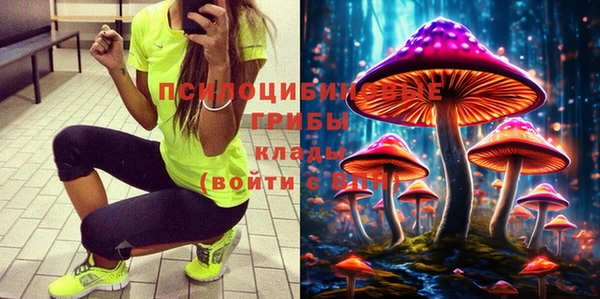 прущие грибы Осташков