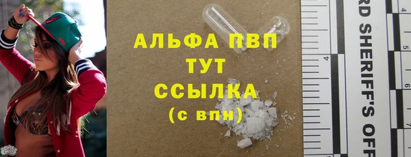 СК Алзамай