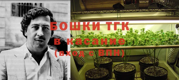 СК Алзамай
