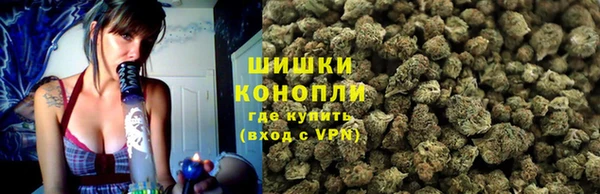 дурь Алексеевка