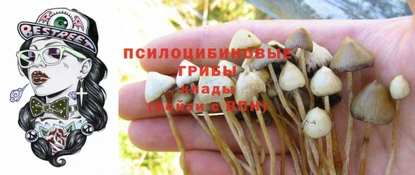 экстази Алексин