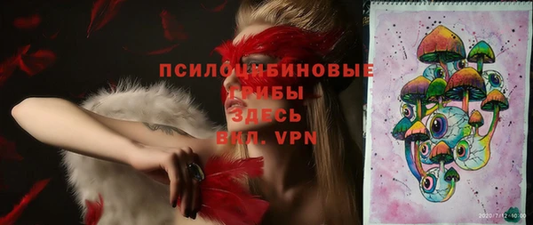 дурь Алексеевка